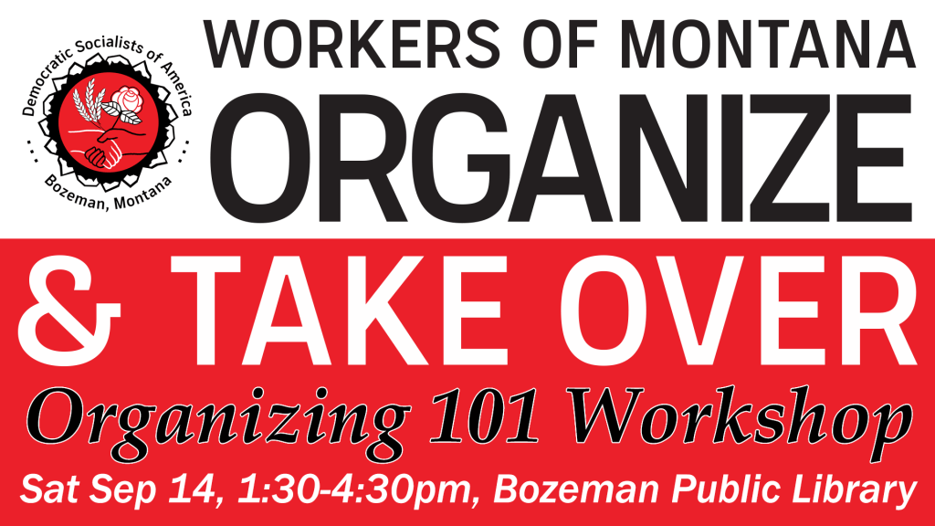 organizing 101 bozeman