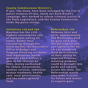 Initiatives 118 and 190: Montana has the 11th highest consumption rate of marijuana among US states. Rather than circulating through the black market, the Governor's Office of Budget and Program Planning estimates that legalization would generate $38.5 million a year in tax revenue by 2025, money earmarked for nature conservation, veteran services, substance misuse treatment, health care, local governments, and the state's general fund. | Referendum 130: Between 2014 and 2018, approximately 200 Montanans died by guns each year, the 6th highest rate per capita in the US. LR-130 would rob local governments of their ability to regulate firearms, meaning weapons could be brought into parks and schools across the state. The Referendum would also make it easier for felons and minors to acquire guns. | County Commissioner District 1: If you, like many, have been outraged by the rise in police violence of late, check out Zach Brown's campaign. He's worked to reform criminal justice in the State Legislature and the County Commission holds the purse strings.